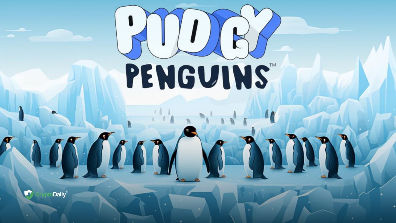 Pudgy Penguins раскрывает подробности о предстоящем виртуальном мире -  Block Game Daily News - P2E - Playtoearn | Crypto Games | Crypto Games List